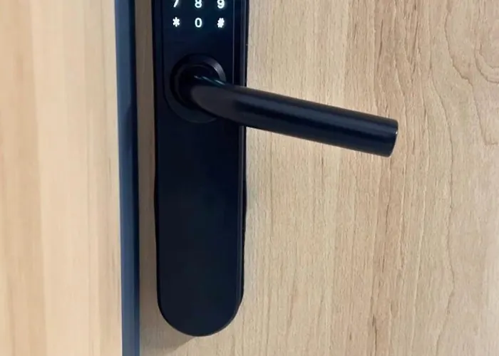 Purple Apartamento *