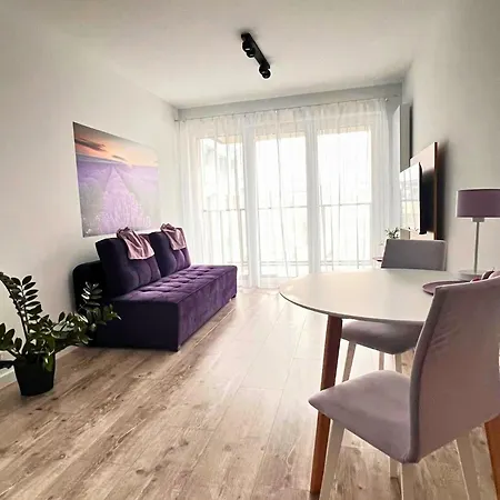 Purple *