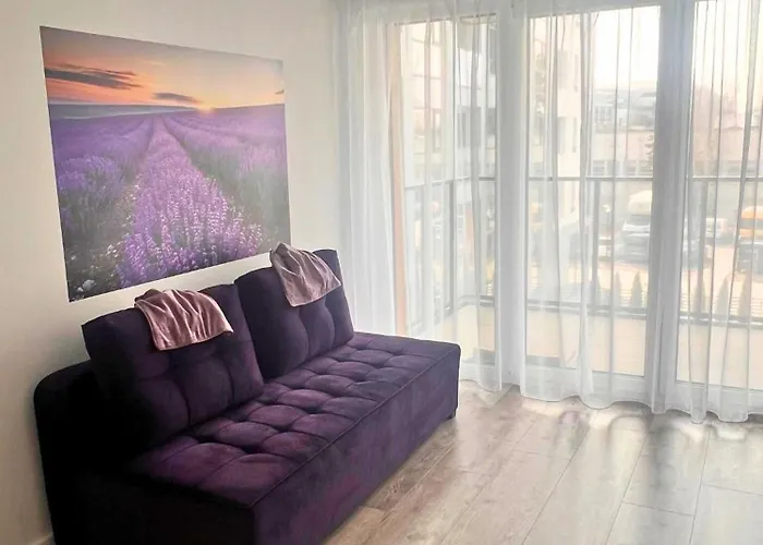 Purple Apartament *